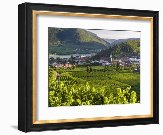 Village Spitz Nested in the Vineyards of the Wachau. Austria-Martin Zwick-Framed Photographic Print