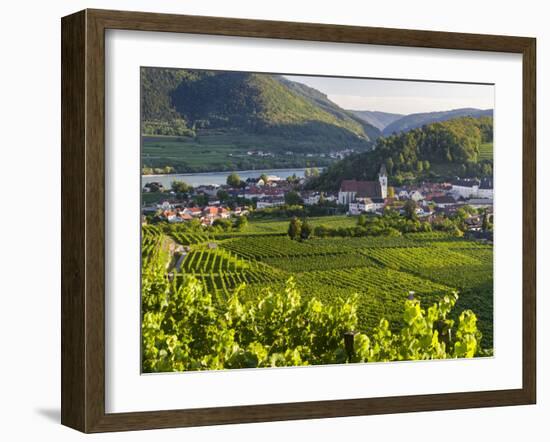 Village Spitz Nested in the Vineyards of the Wachau. Austria-Martin Zwick-Framed Photographic Print