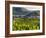 Village Spitz Nested in the Vineyards of the Wachau. Austria-Martin Zwick-Framed Photographic Print