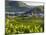 Village Spitz Nested in the Vineyards of the Wachau. Austria-Martin Zwick-Mounted Photographic Print
