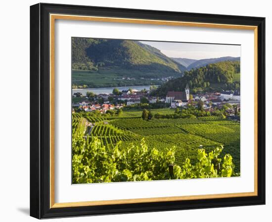 Village Spitz Nested in the Vineyards of the Wachau. Austria-Martin Zwick-Framed Photographic Print