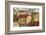 Village View-Eric Balint-Framed Art Print