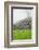 Village with rice terrace in the mountain in morning mist, Jiabang, Guizhou Province, China-Keren Su-Framed Photographic Print