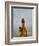 Village Woman Carrying Baby and Load on the Head, Udaipur, Rajasthan, India-Keren Su-Framed Photographic Print