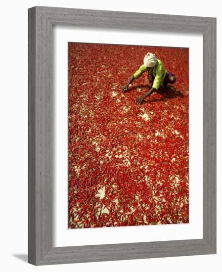 Villager Dries Red Chilies at Rambha, India-null-Framed Photographic Print