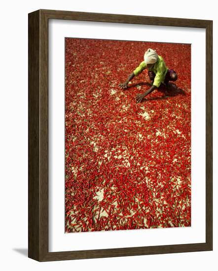 Villager Dries Red Chilies at Rambha, India-null-Framed Photographic Print