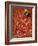 Villager Dries Red Chilies at Rambha, India-null-Framed Photographic Print