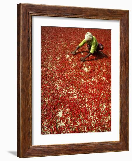 Villager Dries Red Chilies at Rambha, India-null-Framed Photographic Print