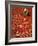 Villager Dries Red Chilies at Rambha, India-null-Framed Photographic Print