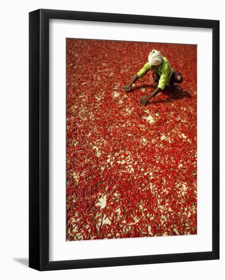 Villager Dries Red Chilies at Rambha, India-null-Framed Photographic Print