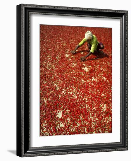 Villager Dries Red Chilies at Rambha, India-null-Framed Photographic Print
