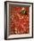 Villager Dries Red Chilies at Rambha, India-null-Framed Photographic Print