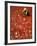 Villager Dries Red Chilies at Rambha, India-null-Framed Photographic Print