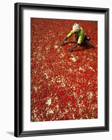 Villager Dries Red Chilies at Rambha, India-null-Framed Photographic Print