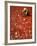 Villager Dries Red Chilies at Rambha, India-null-Framed Photographic Print