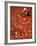 Villager Dries Red Chilies at Rambha, India-null-Framed Photographic Print