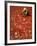 Villager Dries Red Chilies at Rambha, India-null-Framed Photographic Print