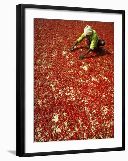 Villager Dries Red Chilies at Rambha, India-null-Framed Photographic Print