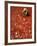 Villager Dries Red Chilies at Rambha, India-null-Framed Photographic Print