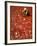 Villager Dries Red Chilies at Rambha, India-null-Framed Photographic Print