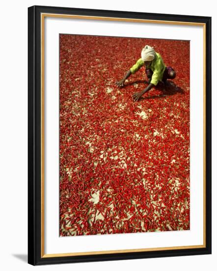 Villager Dries Red Chilies at Rambha, India-null-Framed Photographic Print