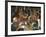 Villagers Singing at Cava Evening, Waya Island, Yasawa Group, Fiji, South Pacific Islands, Pacific-Julia Bayne-Framed Photographic Print