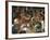 Villagers Singing at Cava Evening, Waya Island, Yasawa Group, Fiji, South Pacific Islands, Pacific-Julia Bayne-Framed Photographic Print