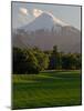 Villarrica Volcano, Villarrica National Park, Chile-Scott T. Smith-Mounted Photographic Print