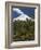 Villarrica Volcano, Villarrica National Park, Chile-Scott T. Smith-Framed Photographic Print