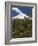 Villarrica Volcano, Villarrica National Park, Chile-Scott T. Smith-Framed Photographic Print