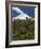 Villarrica Volcano, Villarrica National Park, Chile-Scott T. Smith-Framed Photographic Print