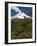 Villarrica Volcano, Villarrica National Park, Chile-Scott T. Smith-Framed Photographic Print