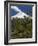 Villarrica Volcano, Villarrica National Park, Chile-Scott T. Smith-Framed Photographic Print