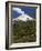 Villarrica Volcano, Villarrica National Park, Chile-Scott T. Smith-Framed Photographic Print