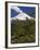 Villarrica Volcano, Villarrica National Park, Chile-Scott T. Smith-Framed Photographic Print