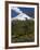 Villarrica Volcano, Villarrica National Park, Chile-Scott T. Smith-Framed Photographic Print