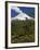 Villarrica Volcano, Villarrica National Park, Chile-Scott T. Smith-Framed Photographic Print