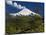 Villarrica Volcano, Villarrica National Park, Chile-Scott T. Smith-Mounted Photographic Print