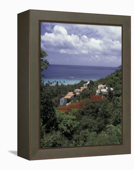 Villas on the Hillside, Saint Croix, Caribbean-Greg Johnston-Framed Premier Image Canvas