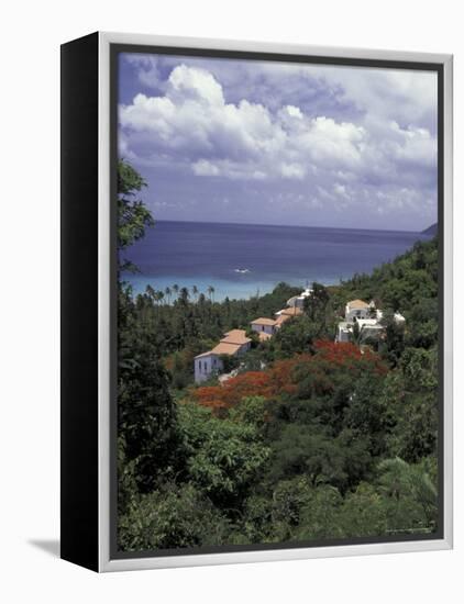 Villas on the Hillside, Saint Croix, Caribbean-Greg Johnston-Framed Premier Image Canvas