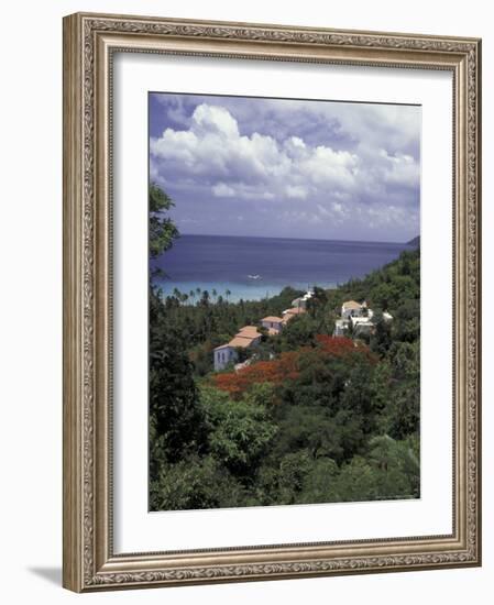 Villas on the Hillside, Saint Croix, Caribbean-Greg Johnston-Framed Photographic Print