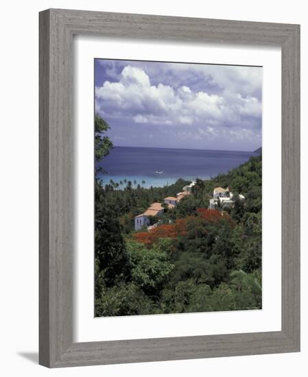 Villas on the Hillside, Saint Croix, Caribbean-Greg Johnston-Framed Photographic Print