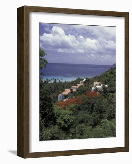 Villas on the Hillside, Saint Croix, Caribbean-Greg Johnston-Framed Photographic Print