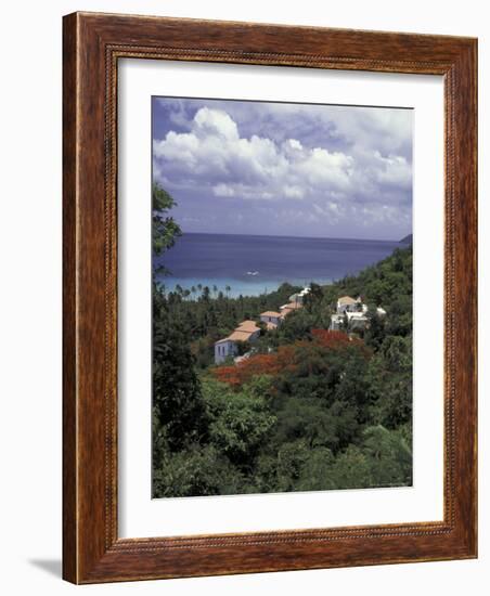 Villas on the Hillside, Saint Croix, Caribbean-Greg Johnston-Framed Photographic Print