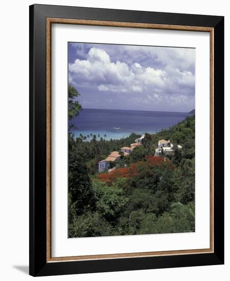 Villas on the Hillside, Saint Croix, Caribbean-Greg Johnston-Framed Photographic Print