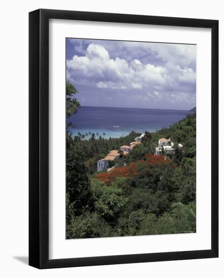 Villas on the Hillside, Saint Croix, Caribbean-Greg Johnston-Framed Photographic Print