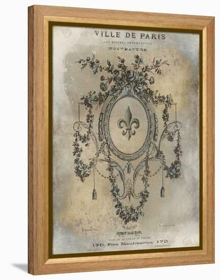 Ville de Paris-Oliver Jeffries-Framed Stretched Canvas