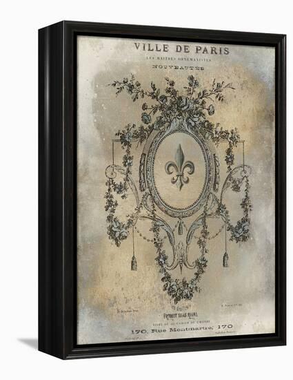 Ville de Paris-Oliver Jeffries-Framed Stretched Canvas