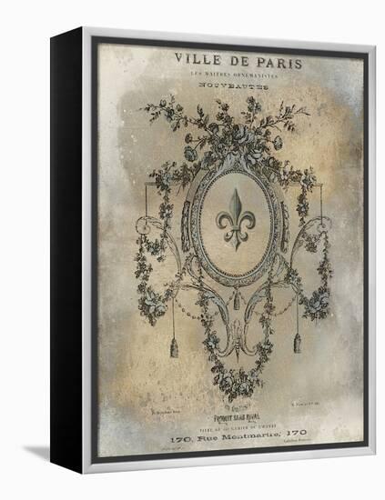 Ville de Paris-Oliver Jeffries-Framed Stretched Canvas