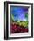 villers red poppies-Pol Ledent-Framed Art Print